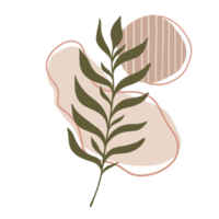 plante à feuilles esthétique avec des formes abstraites. style minimaliste. la nature. png