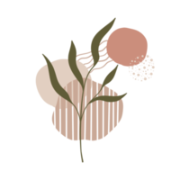 plante à feuilles esthétique avec des formes abstraites. style minimaliste. la nature. png