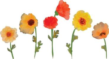 Set of watercolor poppy flower isolated on white background. Loose watercolor technique. vector