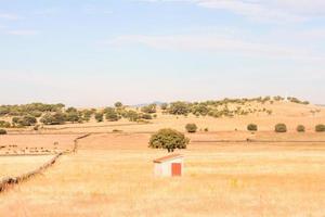 paisaje en verano foto