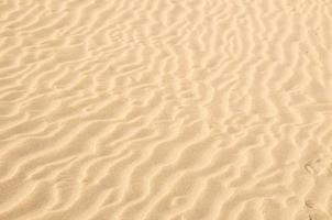 Sand Dune Desert Texture photo