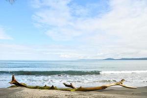 Seascape in summer photo