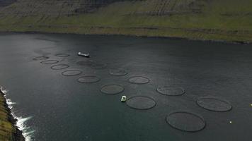 jaulas de salmón en las islas feroe por drone video