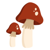 funghi mano disegnato png