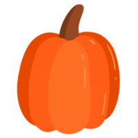Pumpkin Hand Drawn png