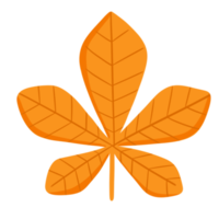 ilustração de folha de outono png