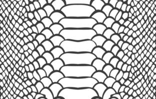 Reptile Scales Vector Art, Icons, and Graphics for Free Download
