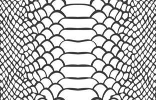 snake skin pattern