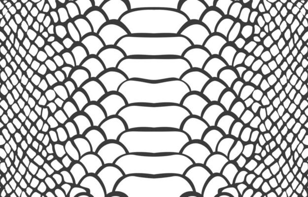Snake Skin Pattern Vector Art, Icons, and Graphics for Free Download snake-skin-pattern-vector-art-icons-and-graphics-for-free-download