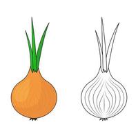 Set Onion. A whole onion with green feathers. Flat simple design. Isolated on a white background. vector