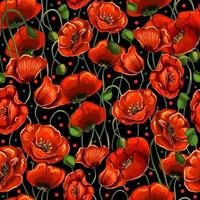 Red poppy seamless pattern vector