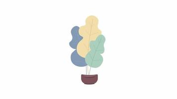 Animated health houseplant object. Cultivating exotic plants at home. Full sized flat item on white background with alpha channel transparency. Colorful cartoon style HD video footage for animation