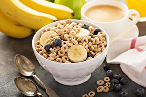 Healthy cold cereal in a white bowl photo