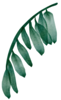 green leaves on watercolor png