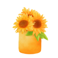Watercolor sunflower illustration png