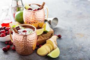 Moscow mule cocktail with ginger and cranberry photo