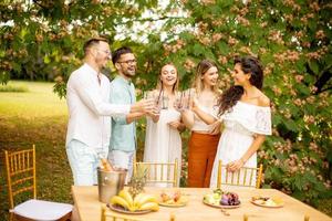 Group of happy young people cheering with fresh lemonade and eating fruits in the garden photo
