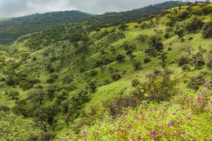 View at Salalah, Oman photo