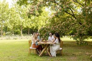 Group of happy young people cheering with fresh lemonade and eating fruits in the garden photo