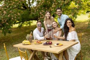 Group of happy young people cheering with fresh lemonade and eating fruits in the garden photo