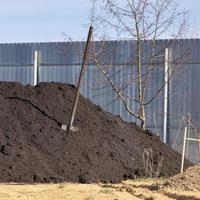 Heap of black soil and a spade in a garden photo