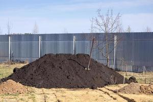 Heap of black soil and a spade in a garden photo