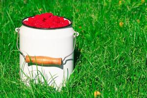 White can full of ripe raspberries photo