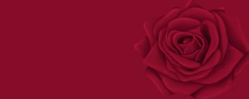 Beautiful red background for postcards and graphic works. Bright roses on a red background. Background, banner, space for text. photo