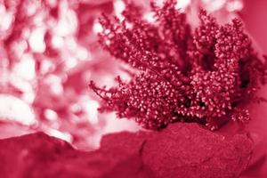 A gentle background for the presentation. Stones and small pink flower buds. Stylish appearance, layout, personality. Banner, a place for text. photo