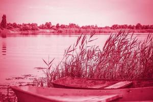 An old iron boat by the river. Reeds on the river under the sun. summer landscape with boats photo