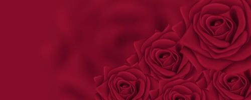 Beautiful red background for postcards and graphic works. Bright roses on a red background. Background, banner, space for text. photo