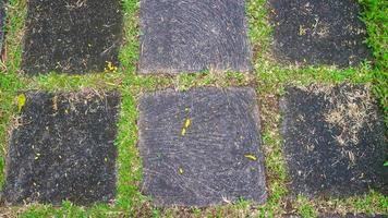 concrete block driveway with green grass in between. as background photo