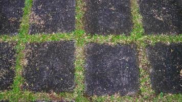 concrete block driveway with green grass in between. as background photo