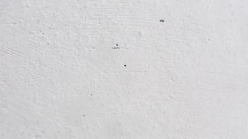 textura de pared de hormigón con pintura blanca como fondo foto