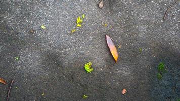 concrete road texture with falling leaves photo
