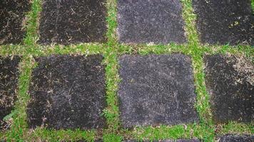 concrete block driveway with green grass in between. as background photo