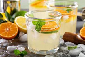 Refreshing summer cocktail with citrus fruits photo
