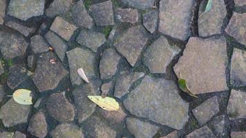 cobblestone path with fallen leaves. as background photo