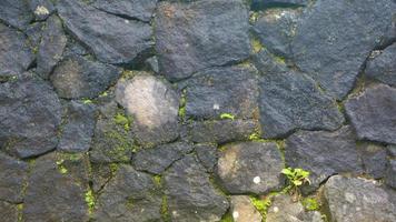 a mossy stone wall as a background photo