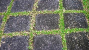 calzada de bloques de hormigón con hierba verde en el medio. como fondo foto