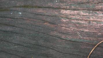 textura de madera con pintura descolorida como fondo foto