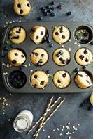 Blueberry muffins in a pan photo