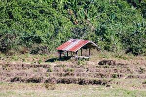 Rural landscape in East Asia photo