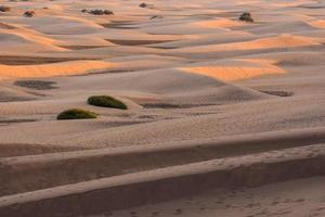 paisaje desértico en marruecos foto