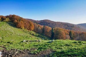 Mountain landscape in the summer photo