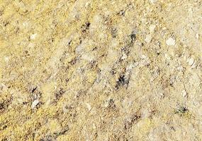 Detailed close up view on a brown sand ground texture photo