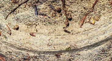 Detailed close up view on a brown sand ground texture photo