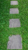 Concrete square shape stepping stone pathway laying on the grass at garden or park. photo