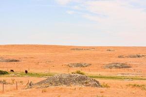 Farm view with rocks photo