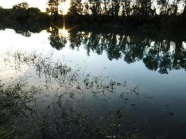 Lake scene with tree reflection photo